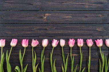 Row of pink tulips on rustic wooden background with copy space for message. Top view