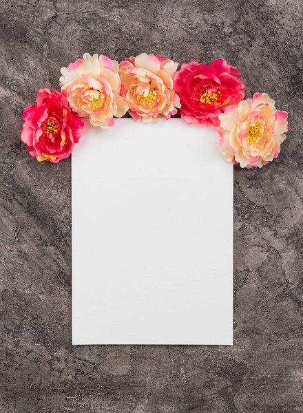 Peonies and white sheet of paper on a gray concrete background