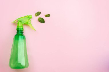 Detergent green bottle on a pink background spray a fresh mint l
