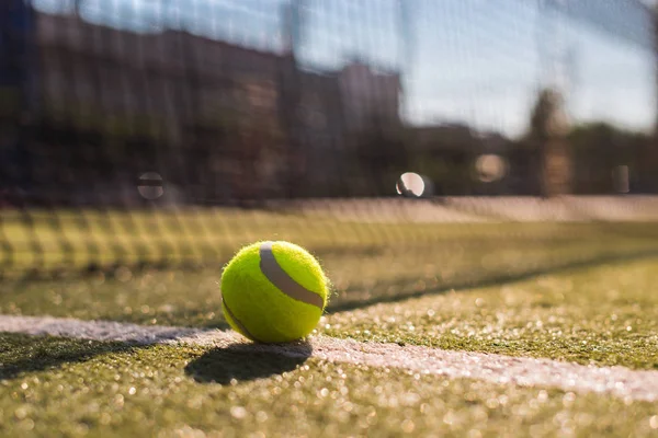 Macro imagen de tres pelotas de tenis y raqueta en pista dura bajo la luz del sol — Foto de Stock