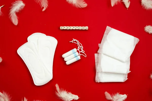 Top view with white feathers, woman pads and tampons lying on re — Stock Photo, Image