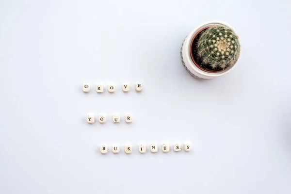 Cactus op de witte tafel naast een inscriptie grove uw busine — Stockfoto