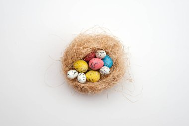 Easter background, multi-colored eggs in a nest lie on a white t