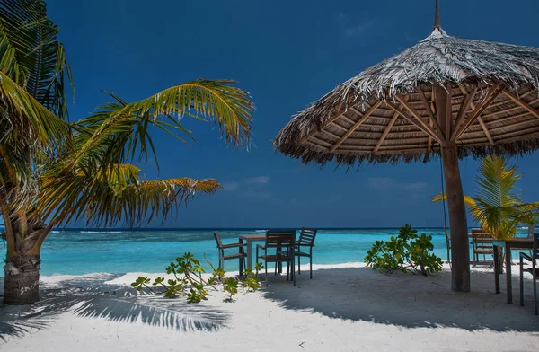 Tropisk ö med palmer och fantastiska levande beach i Maldiverna. Vitt parasoll i havet tropiska Maldiverna romantiska atoll island paradise luxury resort om korallrev. Paraply på en strand — Stockfoto