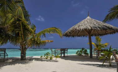palmiye ağaçları ve Maldivler muhteşem canlı plaj tropikal ada. Beyaz şemsiye deniz tropikal Maldivler romantik atol Adası cennet lüks tatil mercan hakkında. Bir plajda şemsiye