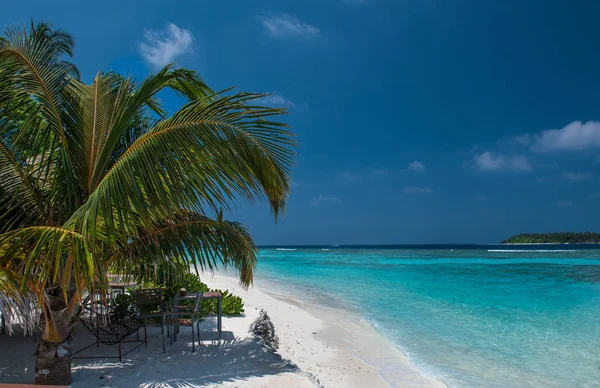 在马尔代夫的热带海滩。马尔代夫海滩-自然度假背景。在马尔代夫的美丽海滩 — 图库照片