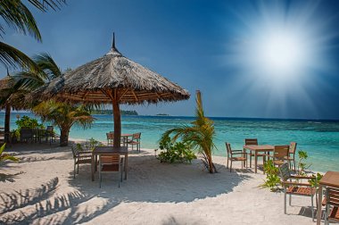 palmiye ağaçları ve Maldivler muhteşem canlı plaj tropikal ada. Beyaz şemsiye deniz tropikal Maldivler romantik atol Adası cennet lüks tatil mercan hakkında. Bir plajda şemsiye