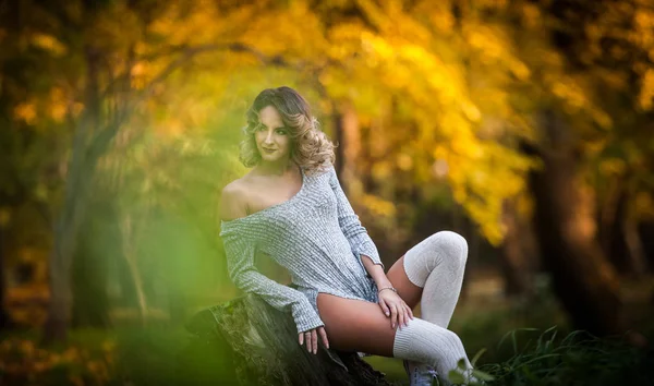 长腿坐在一个树桩在一个秋天的场景与感性的女孩。长腿有吸引力的金发卷发轻松在秋天的公园。时尚的年轻女子，在森林里一个树桩上摆姿势. — 图库照片