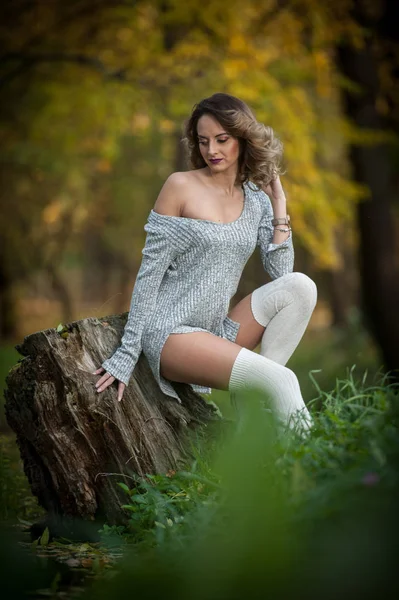 秋のシーンで切り株の上に座って、長い脚と官能的な女の子。長い脚ブロンドの魅力的な紅葉公園でリラックスした巻き毛を持つ。ファッショナブルな若い女性が森の切り株のポーズ. — ストック写真
