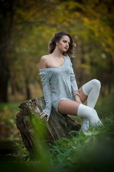 Menina sensual com pernas longas sentado em um toco em uma cena outonal.Pernas longas loira atraente com cabelo encaracolado relaxante no parque outonal.Mulher jovem na moda posando em um toco na floresta . — Fotografia de Stock