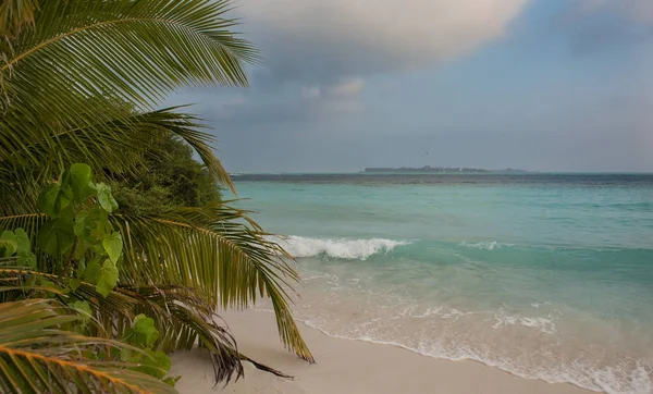 在马尔代夫与棕榈树 沙滩和蓝色的 Skyuntouched 热带海滩上 Maldives Caribbean Maldives Tropical 天堂热带海滩 — 图库照片