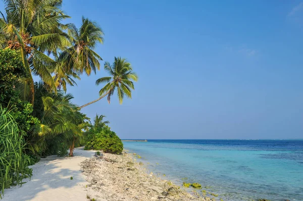 热带海滩 Maldives Tropical Paradise 在马尔代夫与棕榈树 蔚蓝的天空 — 图库照片