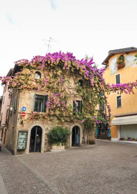 Sirmione, İtalya cephe ile çiçekli pembe bougainvillea.traditional yaz cephe dekorasyon İtalya, İtalya sokak eski bir ev, evin Sirmione'da Merkezi. Eski ev Ivy tarafından kapalı