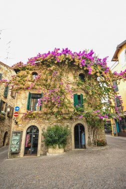 Sirmione, İtalya cephe ile çiçekli pembe bougainvillea.traditional yaz cephe dekorasyon İtalya, İtalya sokak eski bir ev, evin Sirmione'da Merkezi. Eski ev Ivy tarafından kapalı