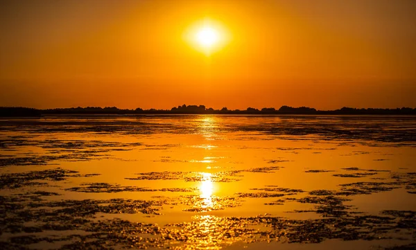 Sunset Danube Delta Romania Beautiful Blueish Lights Water Beautiful Sunset — Stok Foto