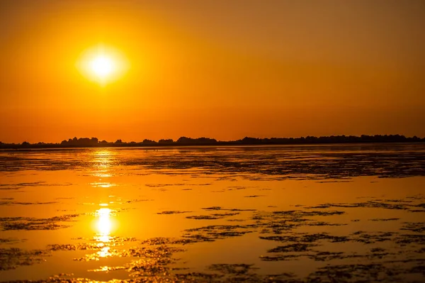 Pôr Sol Delta Danúbio România Belas Luzes Azuladas Água Bela — Fotografia de Stock