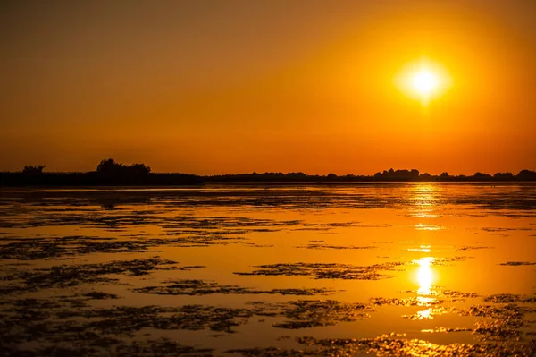 日落在多瑙河三角洲罗马尼亚 美丽的青色灯在水中 罗马尼亚多瑙河三角洲生物圈保护区美丽的日落景观 — 图库照片