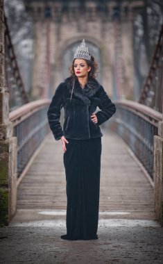 Güzel peri masalı kış kraliçe parlak taç ve zarif siyah kürk manto ile ormanda. Kabarık kar pul.