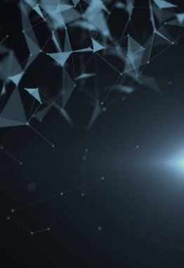 dijital ağ kılavuz