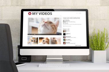 kedi videolar gösterilen bilgisayarla çalışma alanı