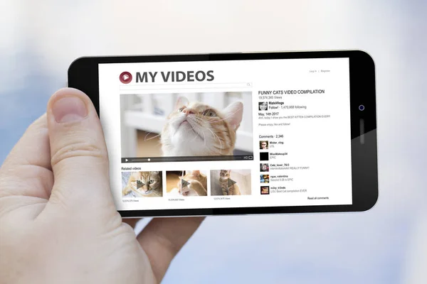 hand holding smartphone with cats video