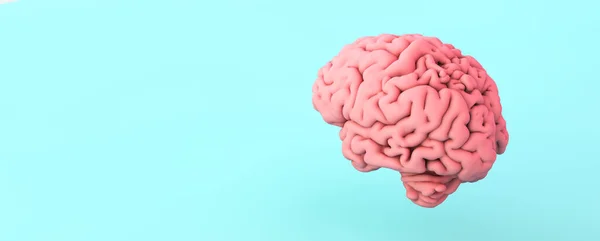 青の背景のピンクの脳3Dレンダリング — ストック写真
