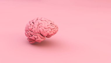 Pembe arka planda pembe beyin 3D görüntüleme