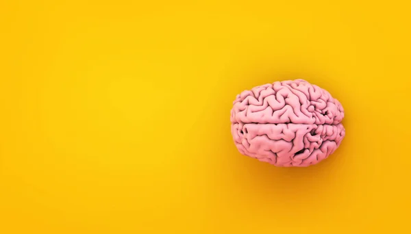 Pink Brain Yellow Background Rendering — 스톡 사진