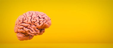 pink brain on yellow background 3d rendering