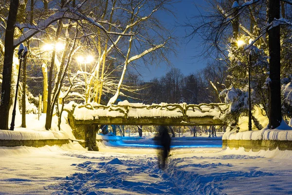 Herastrau park bukarest in der winternacht — Stockfoto