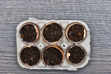 Yumurta kabukları üzerinden yetiştiricilerinin 