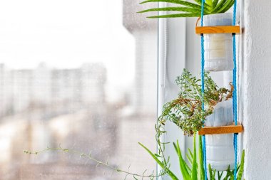 Upcycled plastik bitki kapları asılı