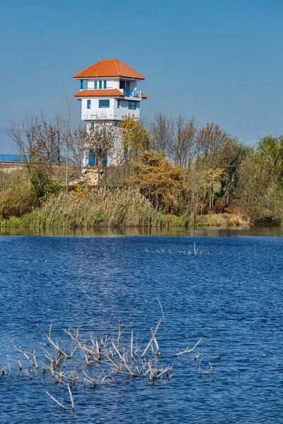 Delta 'dan beyaz kule — Stok fotoğraf