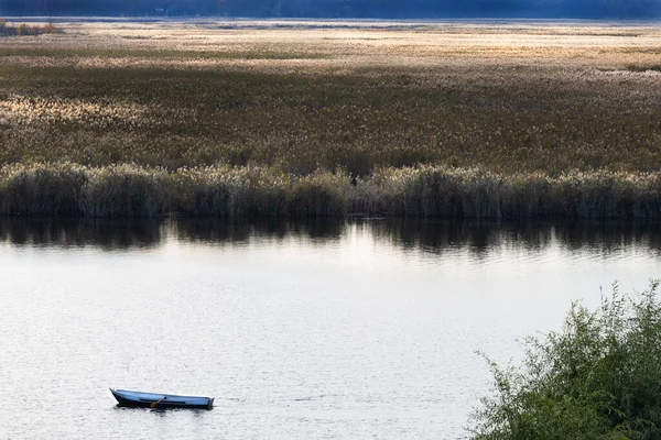 Naturreservat för Comana Stockbild