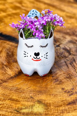 PET 'i (plastik şişe) uykulu kedi çiftliğine dönüştürmek. Covid19 tecridi sırasında çocuklar eğleniyor ve eğitiyor.