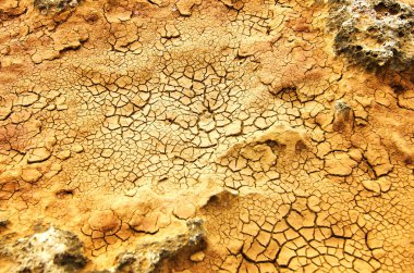 Kuru zeminde çatlaklar