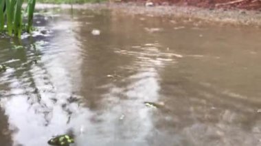Doğa yağmur fırtına su birikintisi