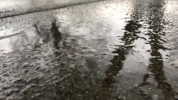 Naturaleza Lluvia Tormenta Charco — Vídeo de stock