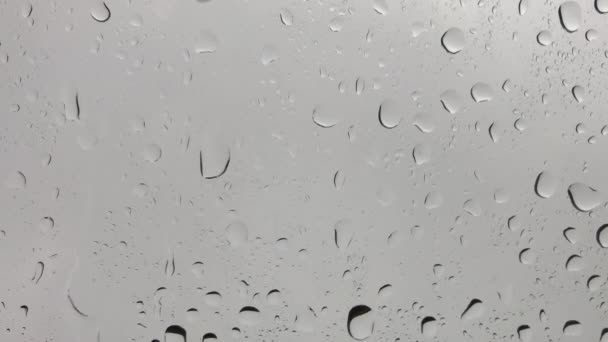 Eau Pluie Gouttes Fond — Video