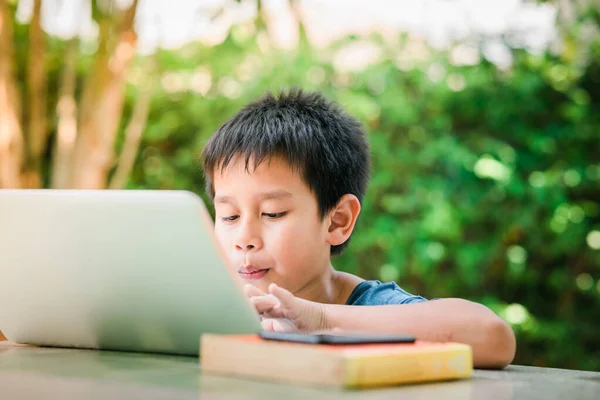 The boy searching the information on the laptop,The boy searching information in the garden,Asian boy learning from home by laptop
