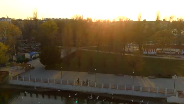 Man op de brug drone zonsondergang video, 4k video — Stockvideo