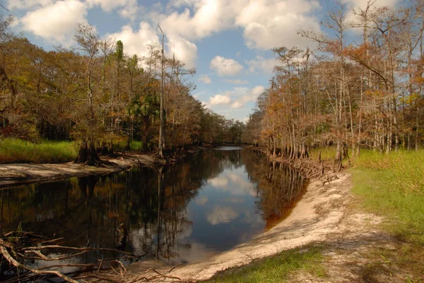 Sud della Florida Paesaggi — Foto Stock