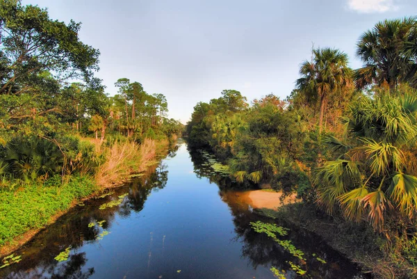 Moerassen van Riverbend — Stockfoto