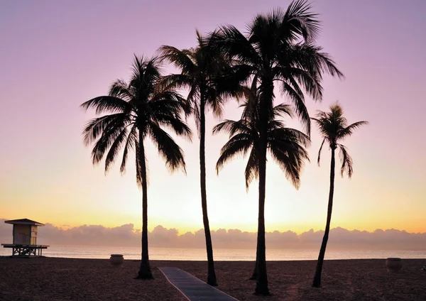 Hollywood Beach Sunrise — Zdjęcie stockowe
