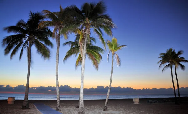 Hollywood Beach Alba — Foto Stock