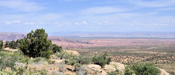 Výhled Poušť Terénu Poblíž Stránky Arizona — Stock fotografie