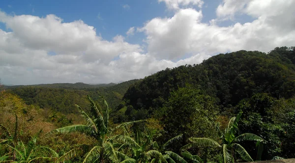 Vista Dall Isola Caraibica Santa Lucia — Foto Stock