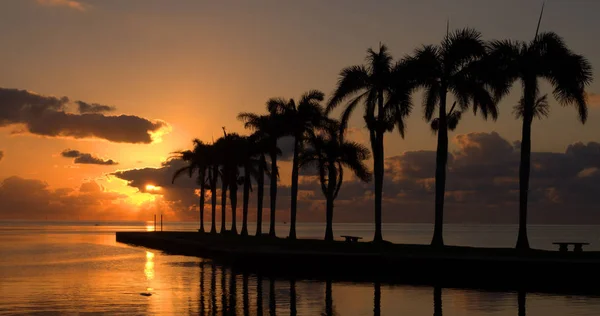 Cutler Bay Sunrise Sunrise Cutler Bay Perto Miami Flórida — Fotografia de Stock