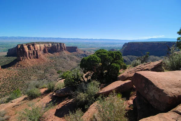 Views Colorado National Monument Park Fruita Colorado — 스톡 사진