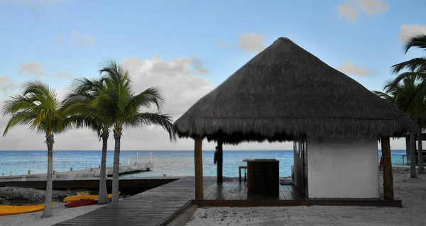 Views Beaches Cozumel Mexico — Stock Photo, Image